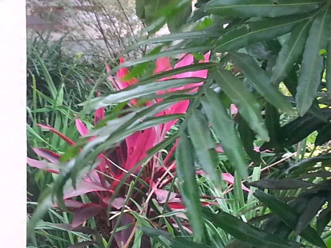 Ikaze B&B 基加利 外观 照片